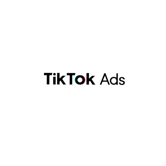 TikTok Ads Manager Service